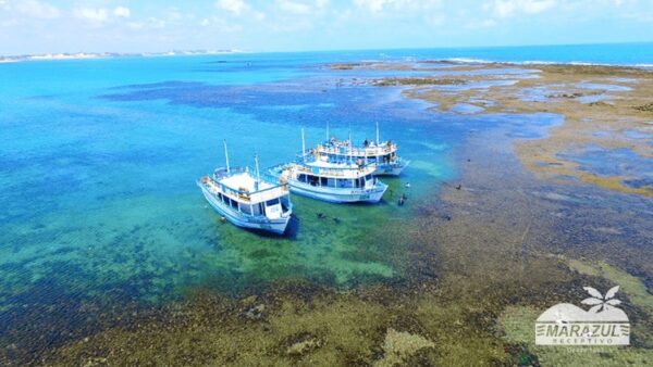 Mergulho nas Piscinas Naturais de Pirangi Passeio de Barco