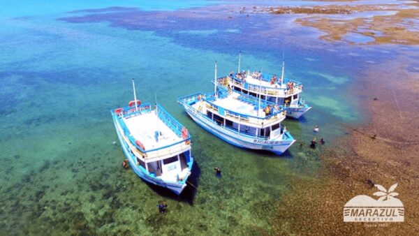 Mergulho nas Piscinas Naturais de Pirangi Passeio de Barco