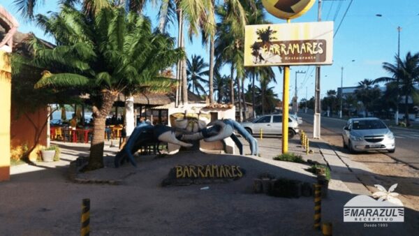 Mergulho nas Piscinas Naturais de Pirangi Passeio de Barco