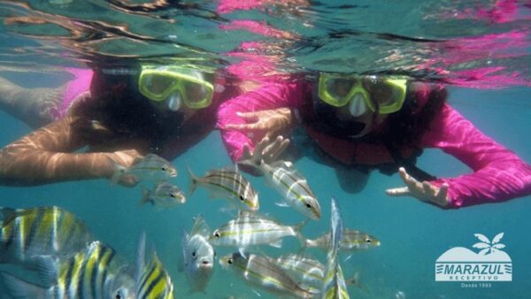 Mergulho nas Piscinas Naturais de Pirangi Passeio de Barco