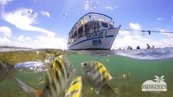 Mergulho nas Piscinas Naturais de Pirangi Passeio de Barco