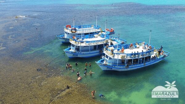 Mergulho nas Piscinas Naturais de Pirangi Passeio de Barco