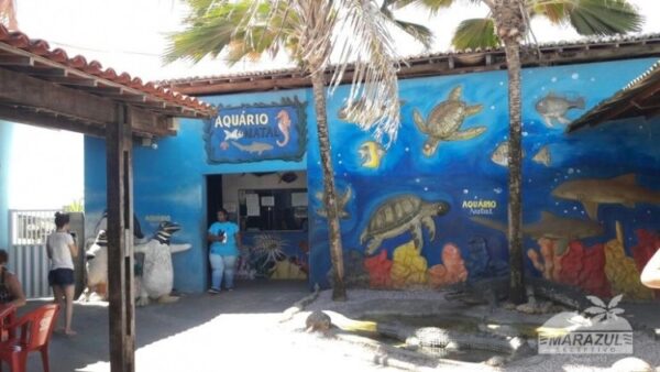 Praia de Genipabu com Aquário Natal