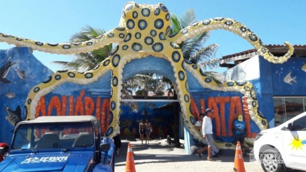 Praia de Genipabu com Aquário Natal