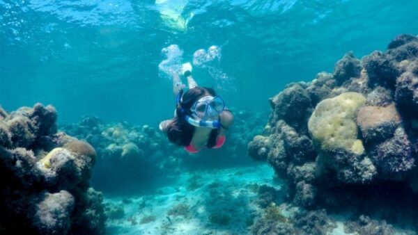 Maracajaú Diver - Lancha + Mergulho com Snorkel