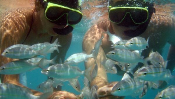 Maracajaú Diver - Lancha + Mergulho com Snorkel