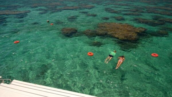 Maracajaú Diver - Lancha + Mergulho com Snorkel