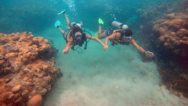 Maracajaú Diver - Lancha + Mergulho com snorkel + Mergulho Batismo com Cilindro