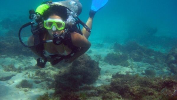 Maracajaú Diver - Lancha + Mergulho com snorkel + Mergulho Batismo com Cilindro