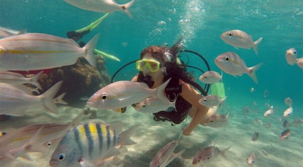 Maracajaú Diver - Lancha + Mergulho com snorkel + Mergulho Batismo com Cilindro