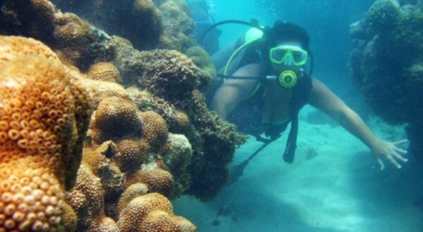 Maracajaú Diver - Lancha + Mergulho com snorkel + Mergulho Batismo com Cilindro