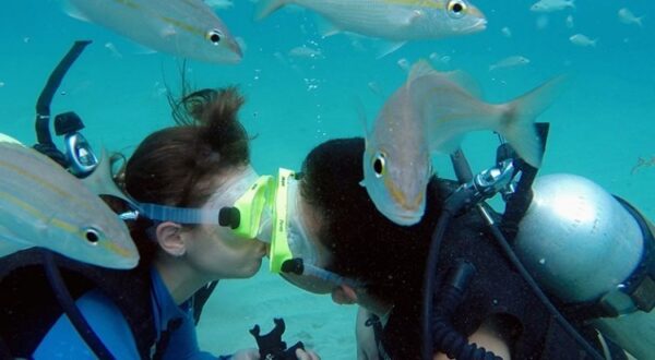 Maracajaú Diver - Lancha + Mergulho com snorkel + Mergulho Batismo com Cilindro