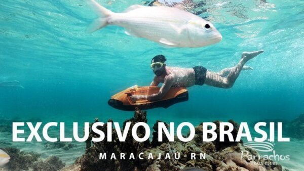 Seabob em Maracajaú